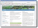 Webseiten-Icon