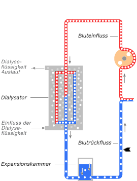 Schema Ven&ouml;se Phase
