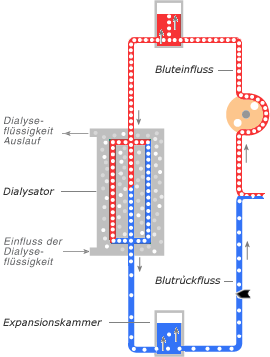 Schema Arterielle Phase