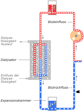 Schema Ven&ouml;se Phase