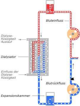Schema Arterielle Phase
