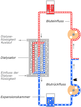 Schema Ven&ouml;se Phase