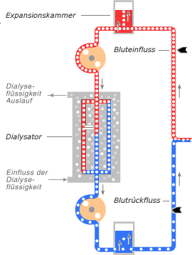 Schema Arterielle Phase