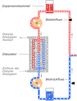 Schema Ven&ouml;se Phase